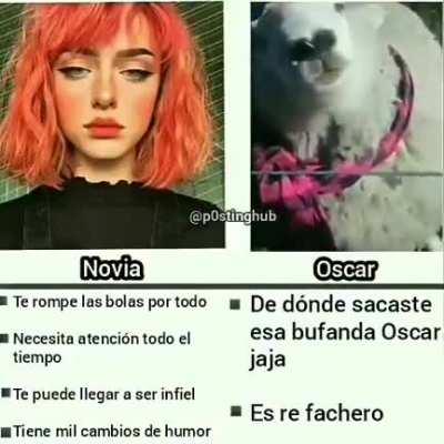 Oscar re fachero