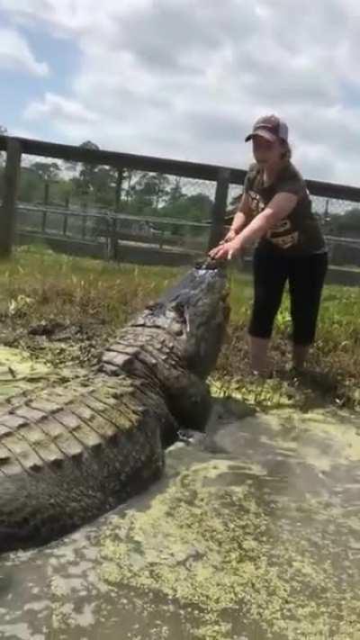 Big Tex Feeding Time