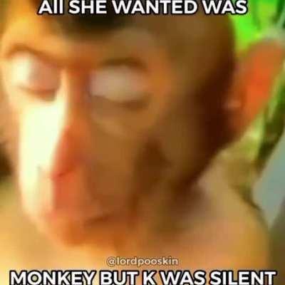 nooo monkeee NOOO 😫😫😫😫😖😭😭😭😭 moneyyy 😰😰😱😱😱😭😭😭