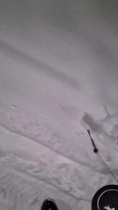 This mink making its way through deep snow