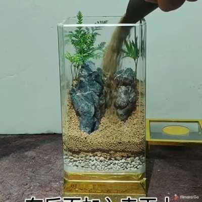 Making a terrarium