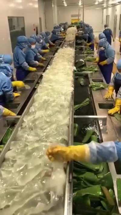 How Aloe Vera is processed.