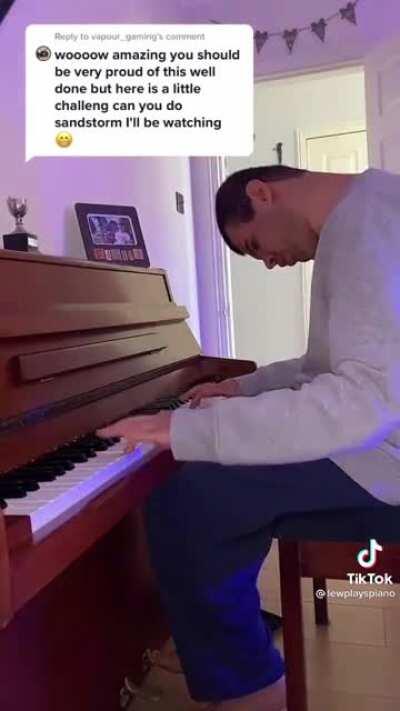 Very talented man who is blind, partially deaf and autistic, performs Sandstorm on piano