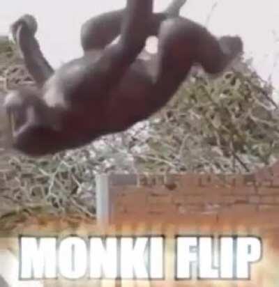 monki flip