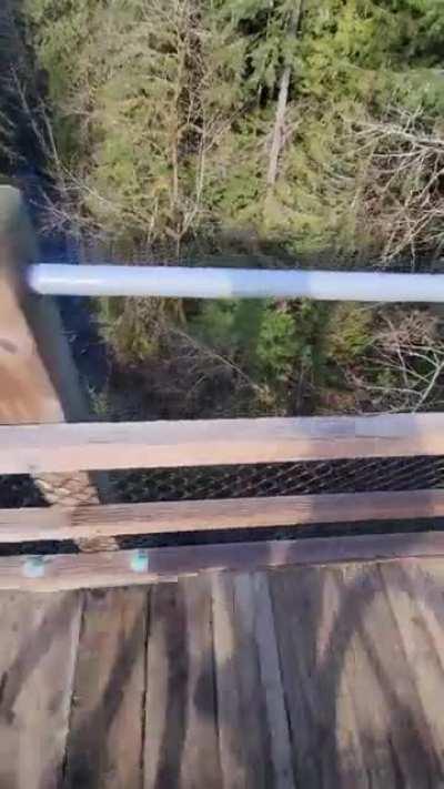 Cool Trestle Bridge While Bikepacking