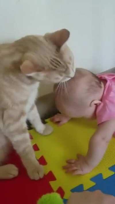 Baby kisses.