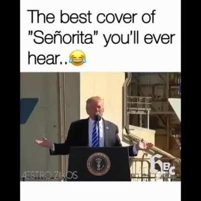 The best cover of senorita. You ever hear