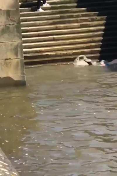 Man falls down a set of stairs into river