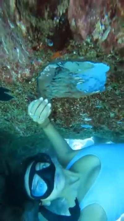 She found something stuck on a rock under water.