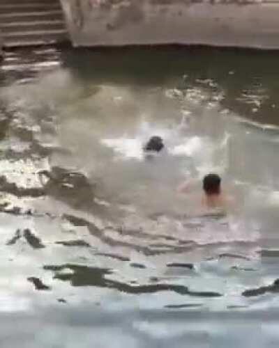 Owner pretends to be drowning to see if his dog would save him