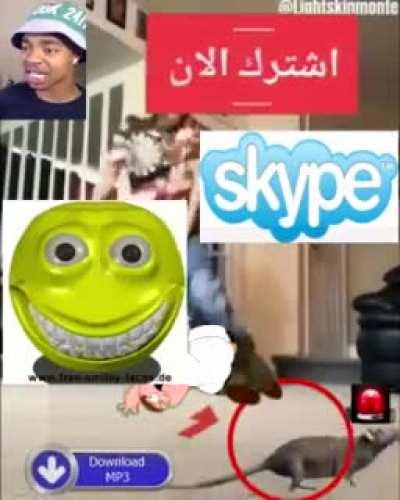 🔥 arab funny rat ? : arabfunny || [dd]  : First ...