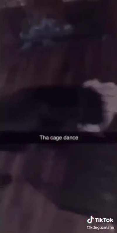 the cage dance