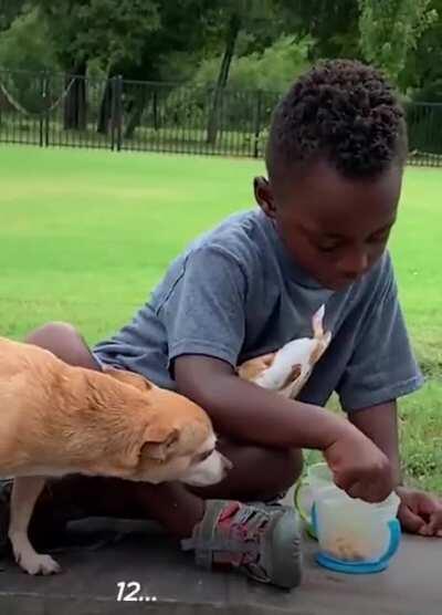 A little boy and his best friend