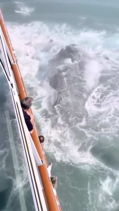 Norwegian cruise line ship hitting an iceberg in Alaska