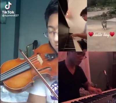 Best tiktok I’ve seen in a while