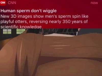 Sperm_irl