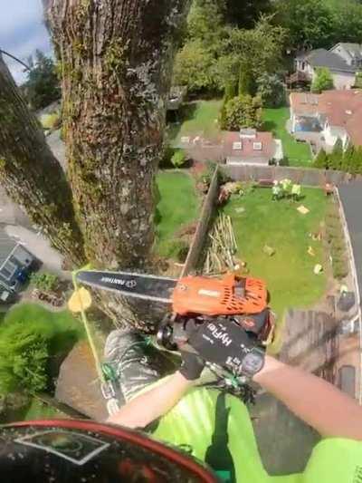 One of the most dangerous jobs in the world . That height is so breathtaking !