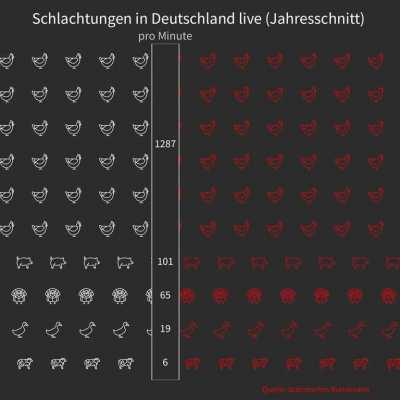 So viele Tiere werden in Deutschland gerade geschlachtet. (Durchschnitt übers Jahr errechnet). Selbst gebastelte Grafik.