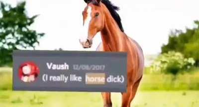 Vaush is the god of horses