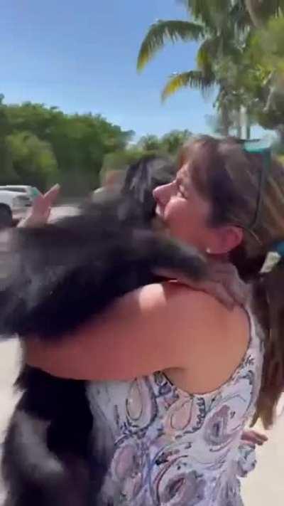 Chimpanzee excited when reunited with couple who raised him.