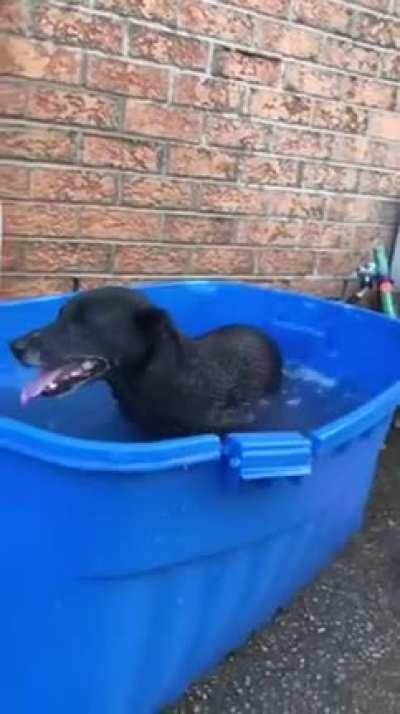 Human said I need to swim