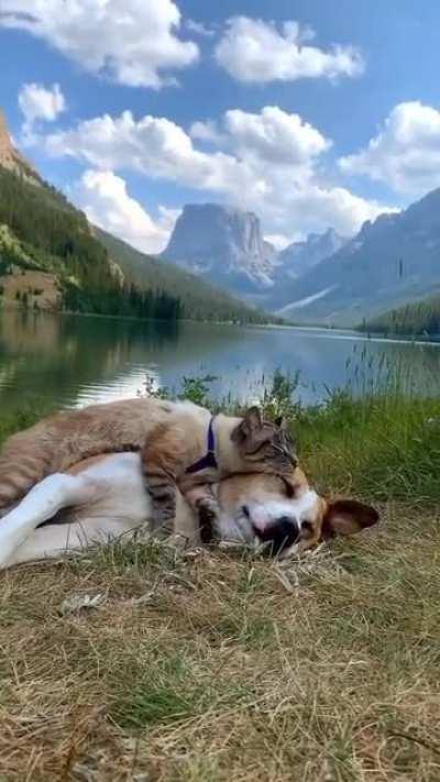 Stunning view of the high mountains in Colorado.