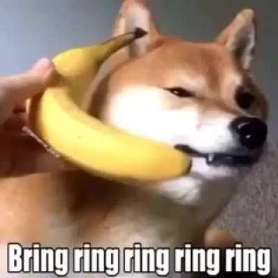 Banana phone!