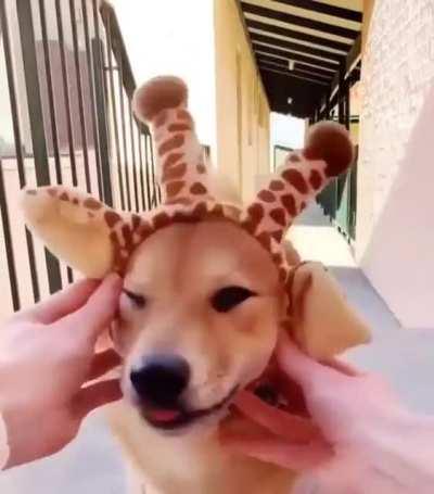 Adorable Giraffe Cosplay