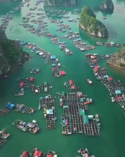 The floating village called Lang Chai, built by villagers who make their living by fishing in Vietnam.