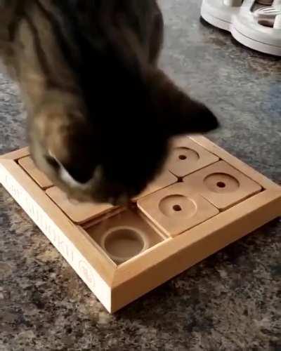 A pretty cool game to play with your cat