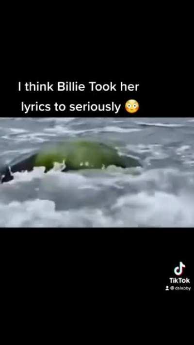 I think Billie Eilish took her lyrics too seriously!