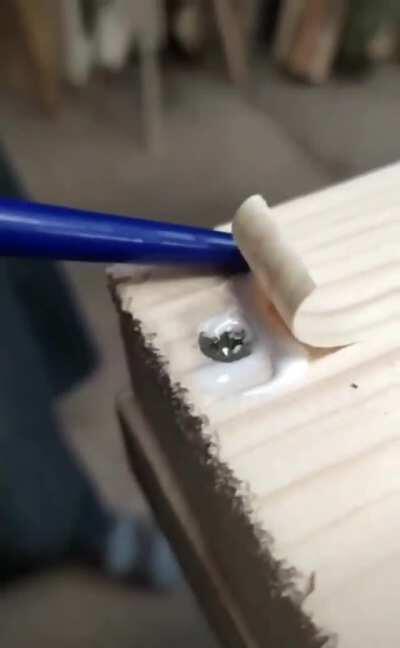 Hiding wood screws