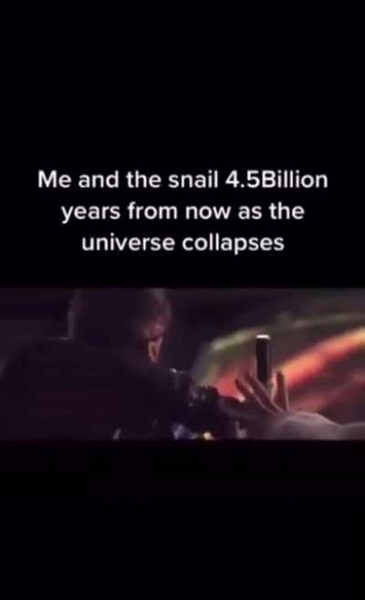 Snail moment