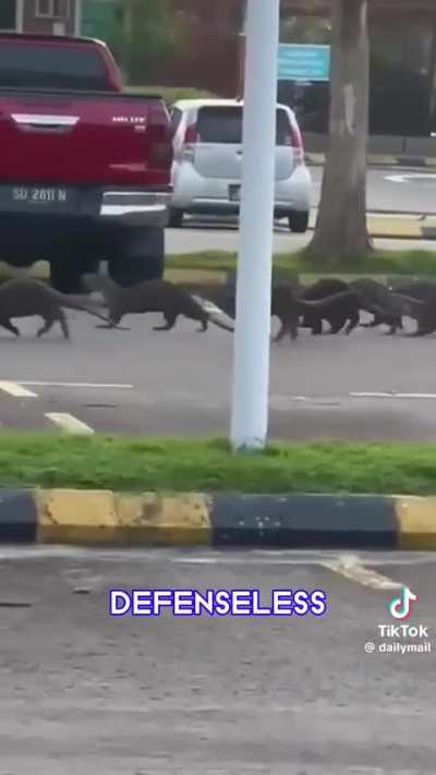 Normal day in Malaysia 