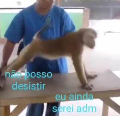 O PoluiçãoAnal spamando pra passar ad antes de virar moderador