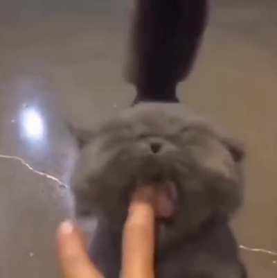 WCGW If I try to bite that hand