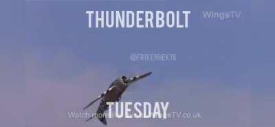 Hold up thunderbolt Tuesday?