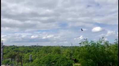 Hand held time-lapse of sky above KBR national park from my balcony