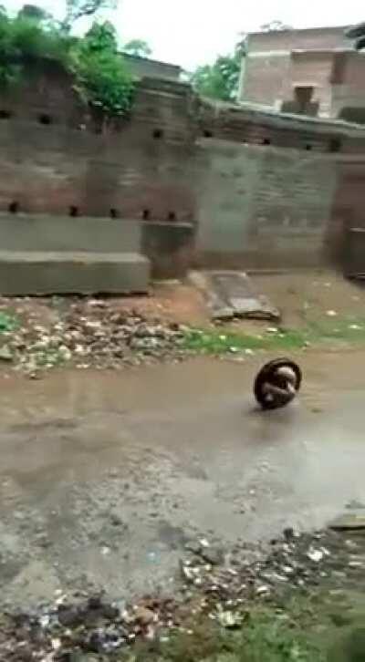 He rolled down the hill in a tire and rolled back up! ( Repost reason: comments )