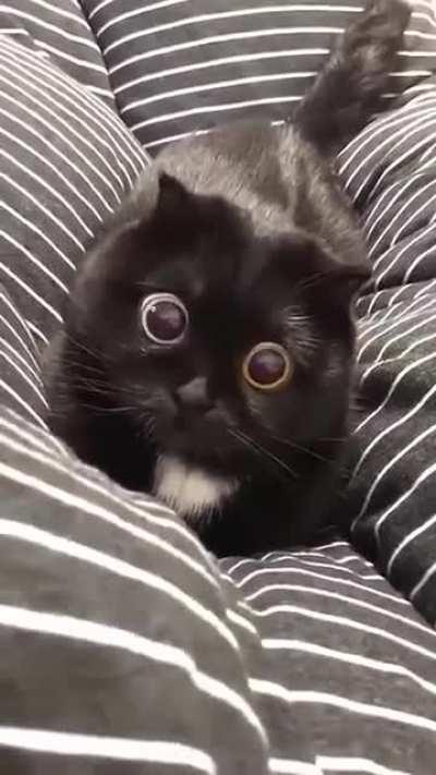 Hypno eyes