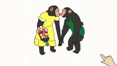 TWO MONKEYS IN LOVE