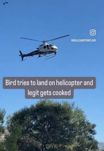 Bird Tries to Land on a Helicopter