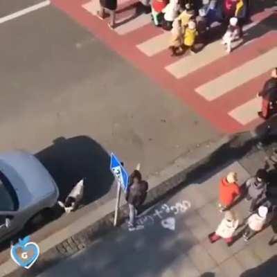 In Georgia, there's a stray dog who has made it his job to protect this kindergarten class so they can cross the street safely. He shows up every single day, even barking at cars that don't stop