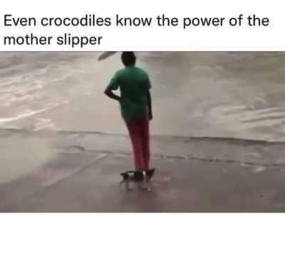 Power of the mother slipper