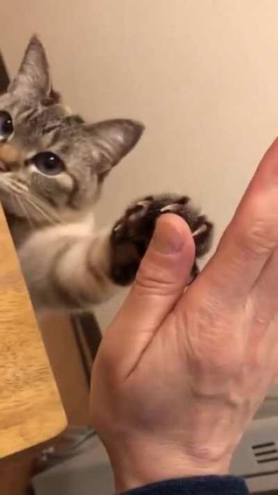 Give me FIVE!