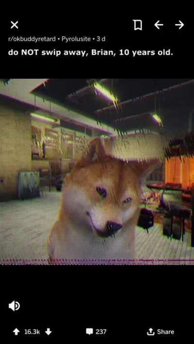 holy GOD! WHAT T.H. (the heck) HAPPENED to DOGE!!!!!!!!