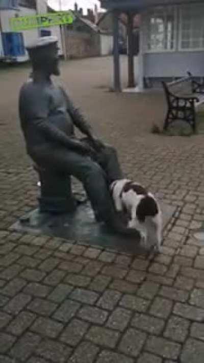 Dog wants statue to throw his ball