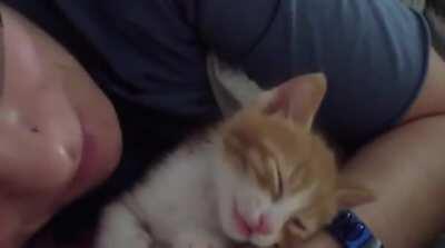 Kitten falls asleep to kisses