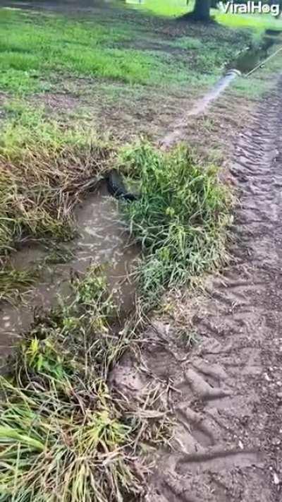 Clever Culvert Cleaning Method