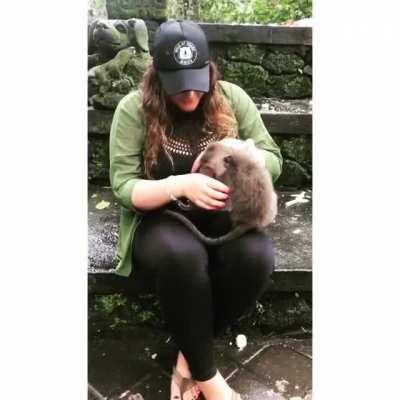 Lady chokes a monkey to pose for a photo and gets instantly attacked by its mother